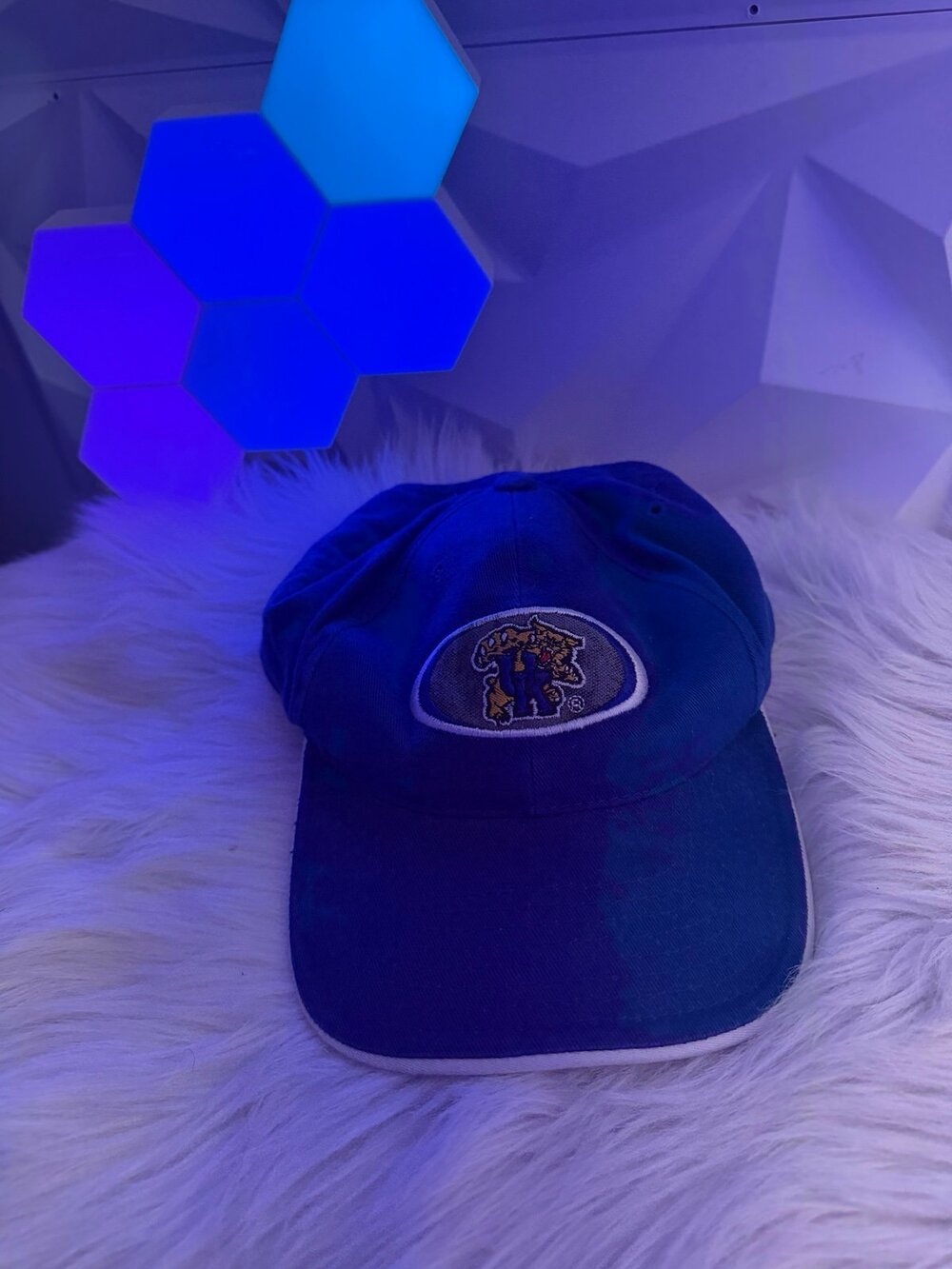 Kentucky Wildcats Oval Logo Strapback Hat